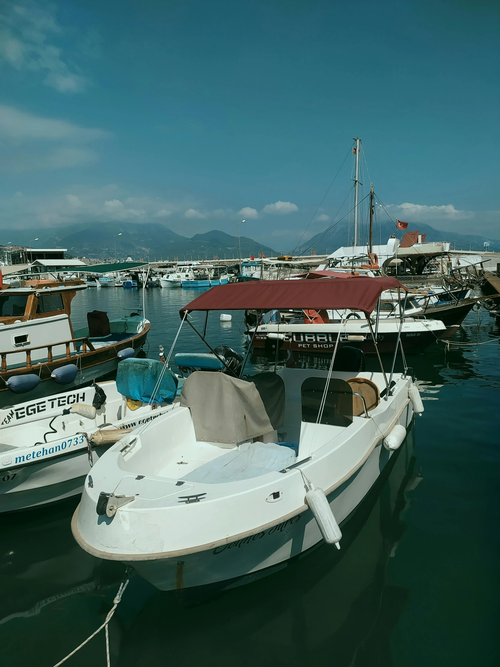 several boats docked in a marina and some mountains