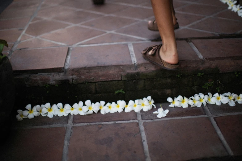 some white flowers laying across a sidewalk