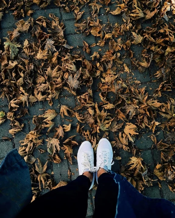 two legs in white sneakers on leaves on the ground