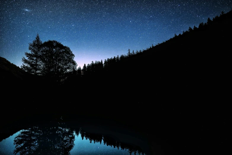 a tree with a lot of stars in the sky next to a mountain