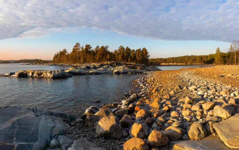 a rocky shoreline with trees on the far end