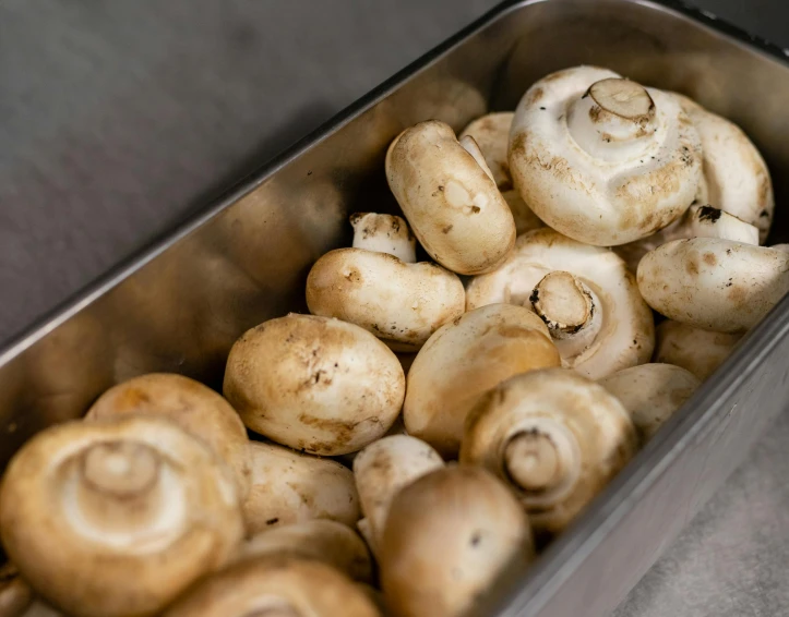 a bunch of mushrooms in a metal bowl