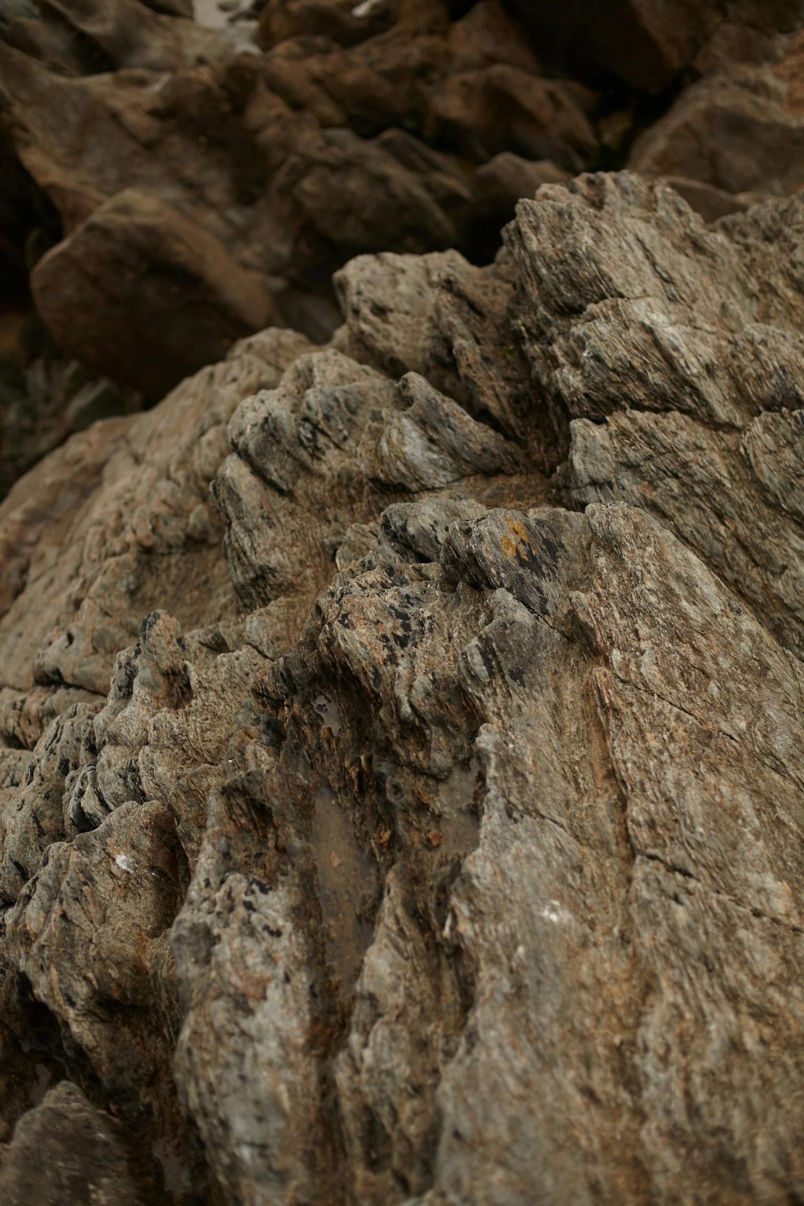 a small bird sitting on top of some rocks