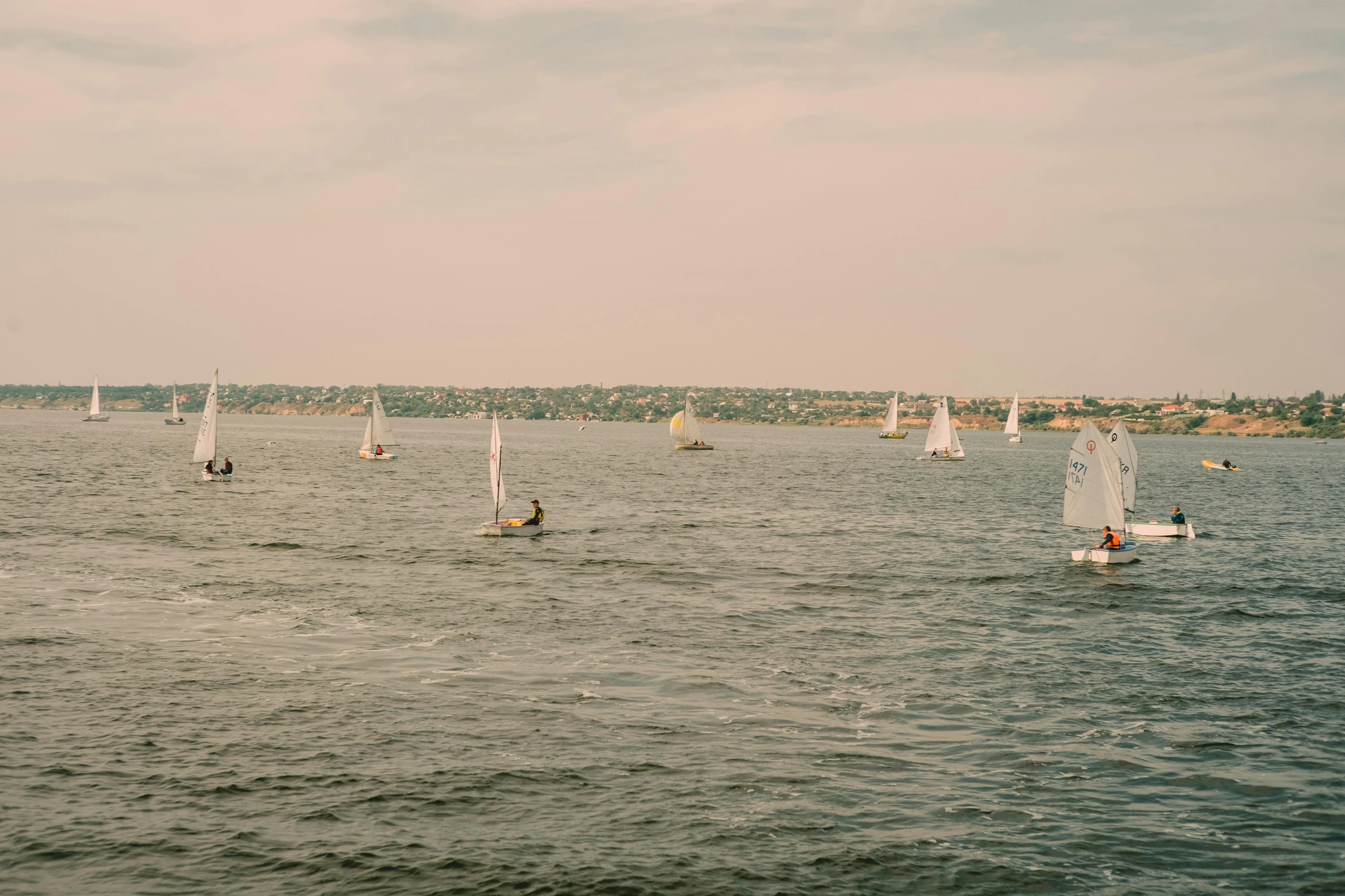 several sail boats sail on calm water