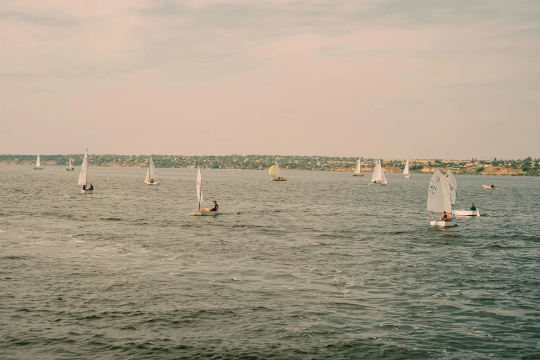 several sail boats sail on calm water