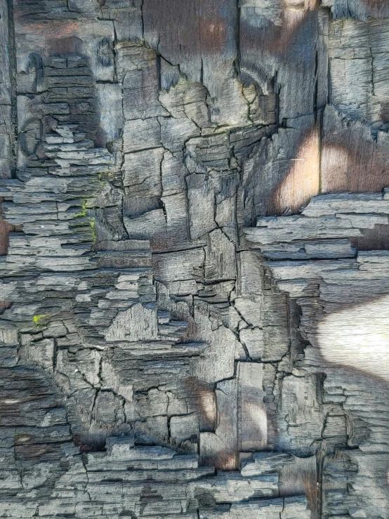 rocks and stone steps in a pool are seen through the lens of an animal