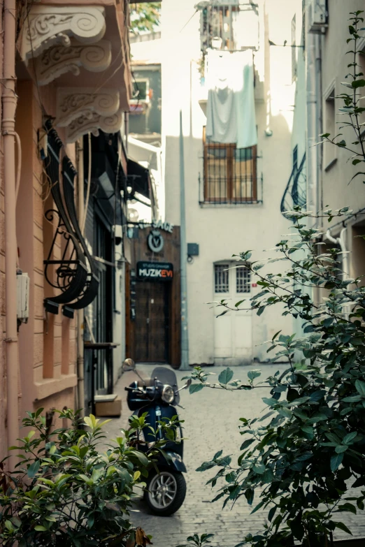 a motorcycle parked near a tree on the sidewalk