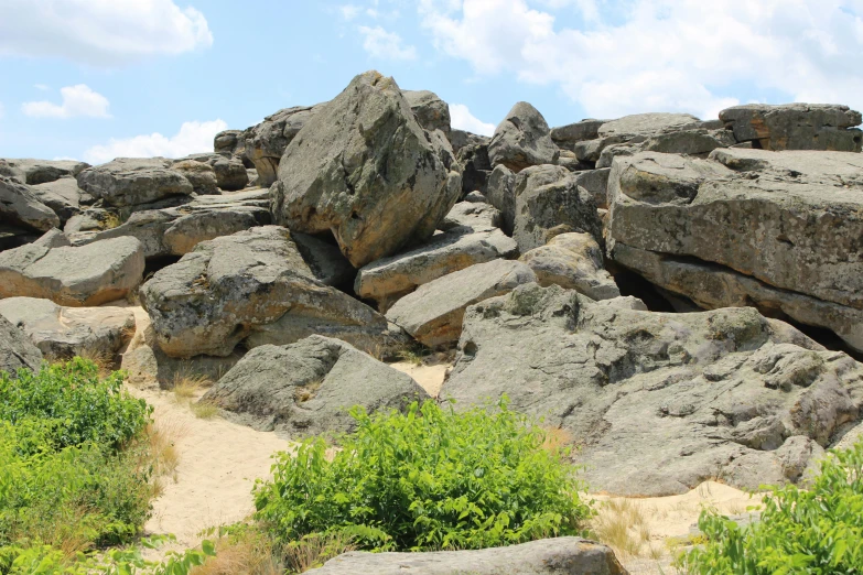 lots of large rocks and bushes growing out of them