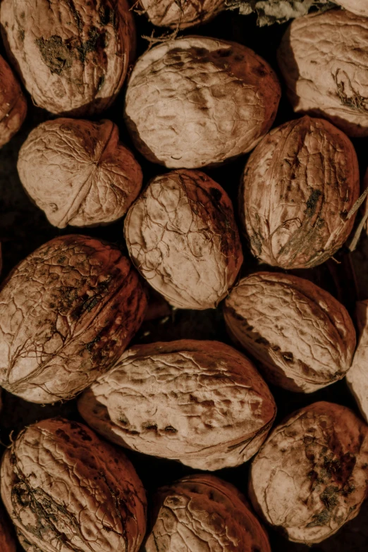 almonds that have been uncooked and are sitting on the ground