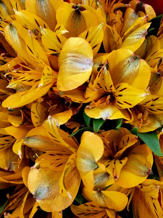 a bouquet of yellow flowers sits on top of a table