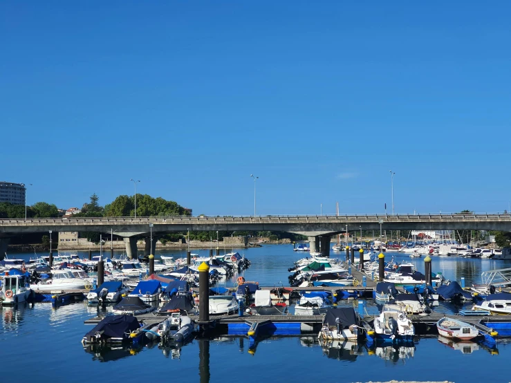 boats docked in a harbor under a bridge