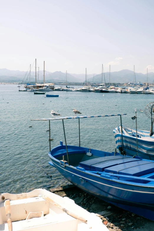 a group of blue boats are parked in a harbor