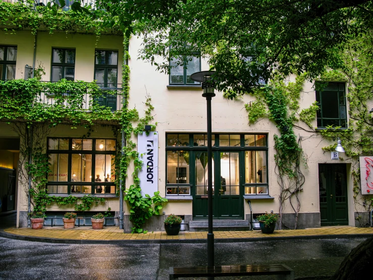 an outside view of an apartment building with ivy on it