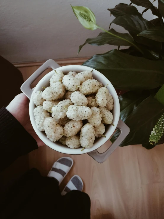 a bowl full of sugary biscuits being held by someone