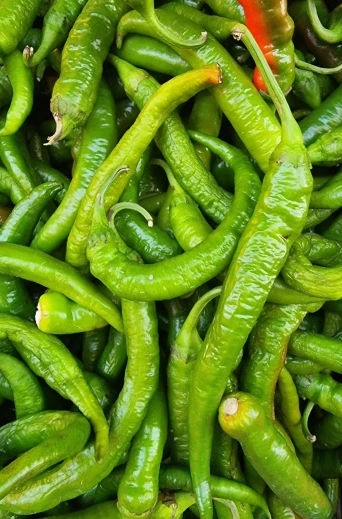 green peppers piled up for sale with long stems