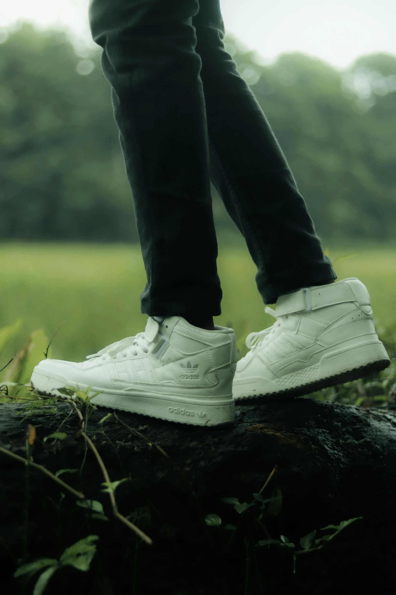 a person in jeans and white sneakers standing on a tree stump