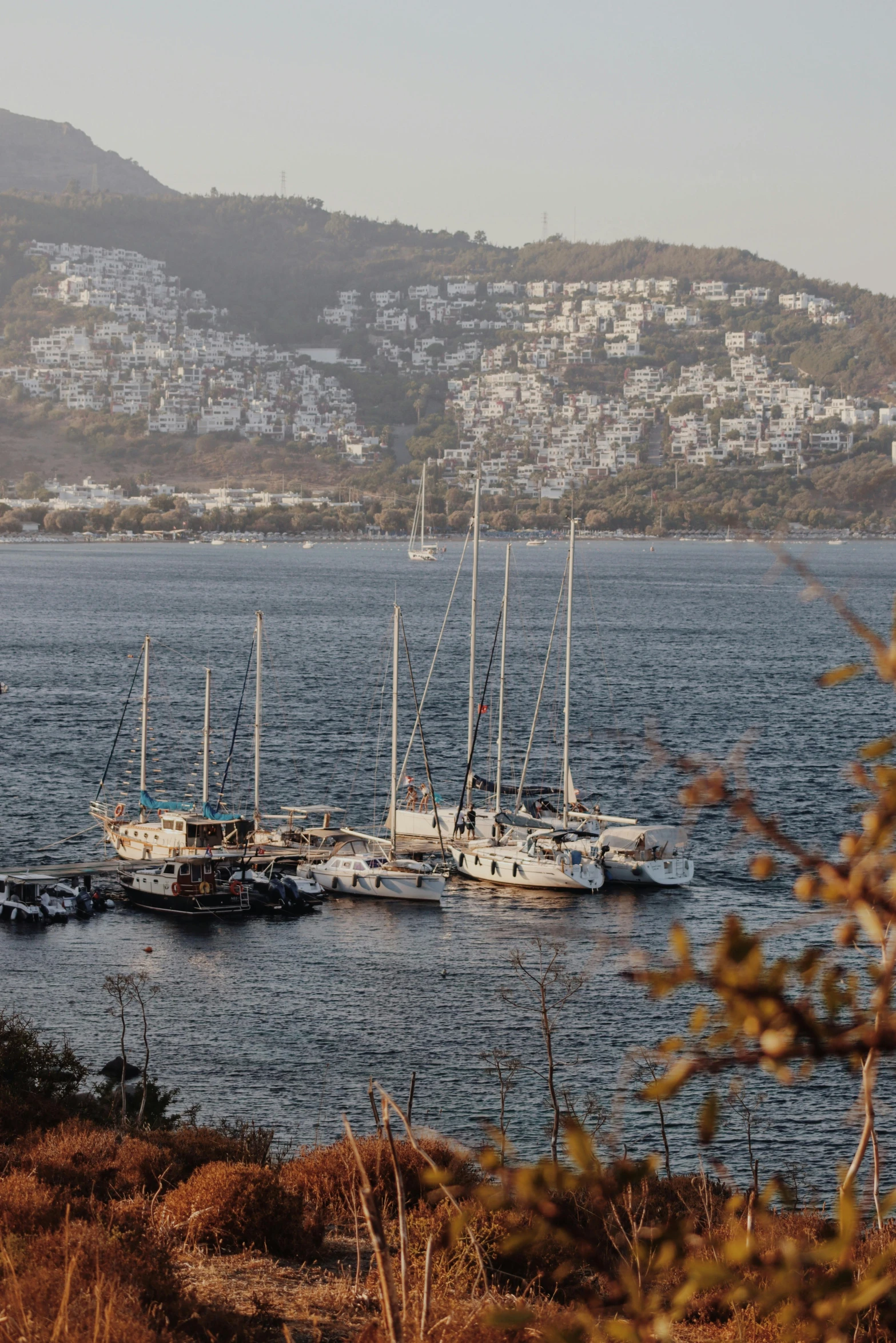 many white boats are anchored near some large ones