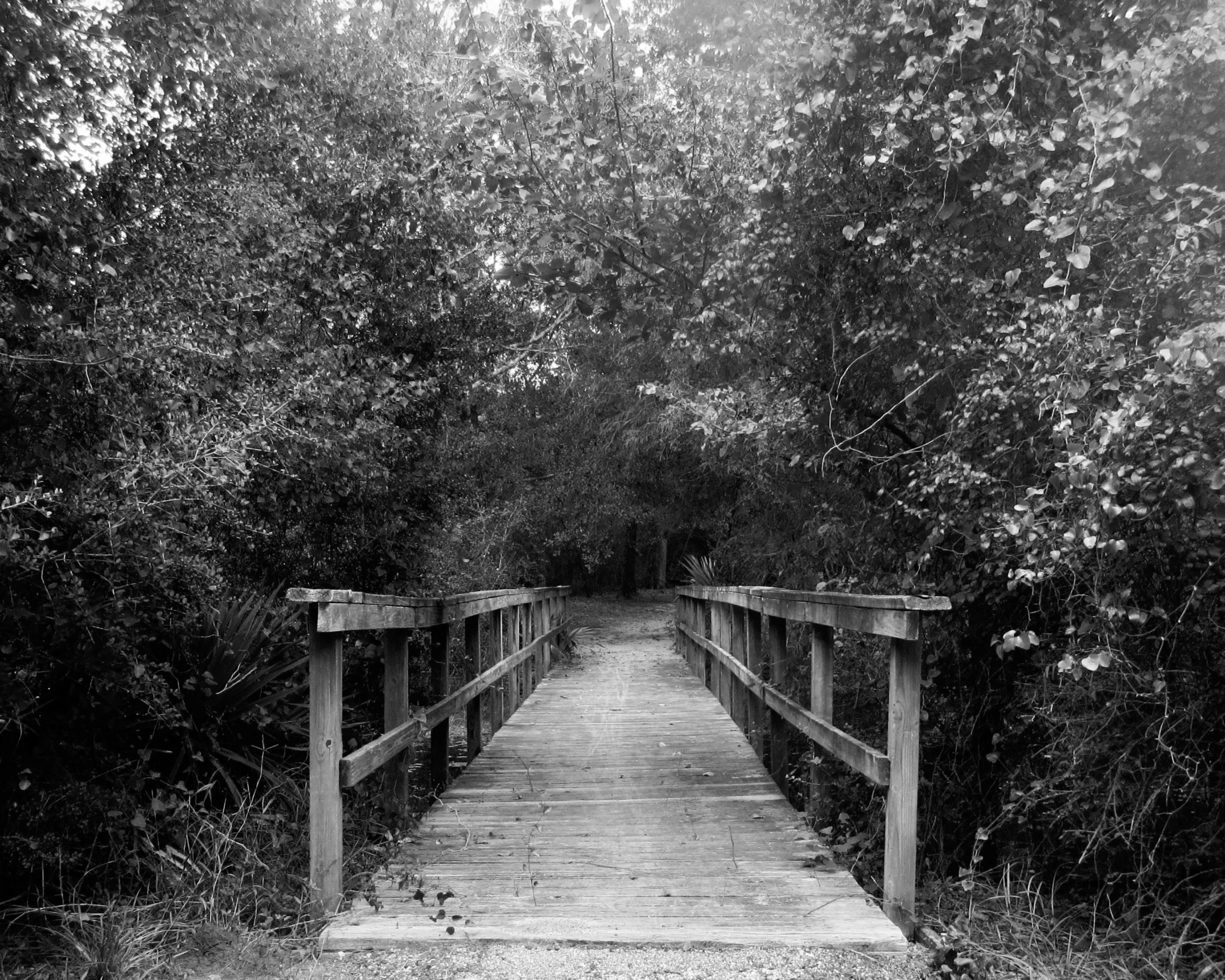 a small bridge that is across a wooded area