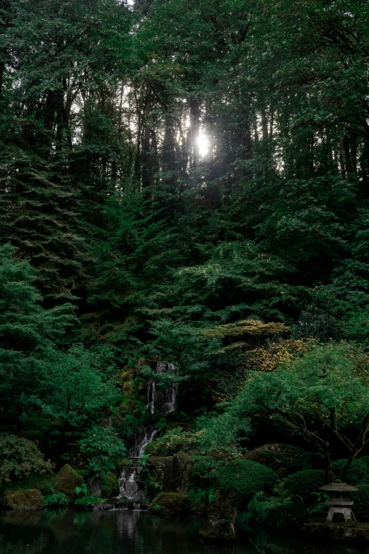 a waterfall in the middle of some trees