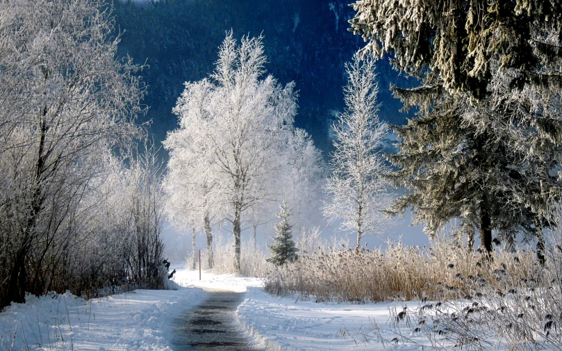 the snow is piled over a rural road