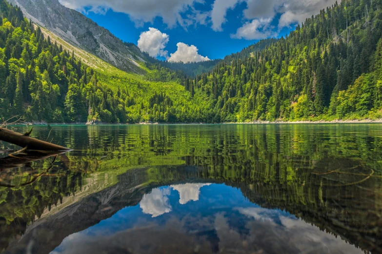 a view of a clear lake in the middle of a forest