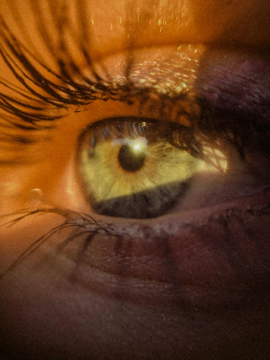 the top part of a person's eye with long eyelashes