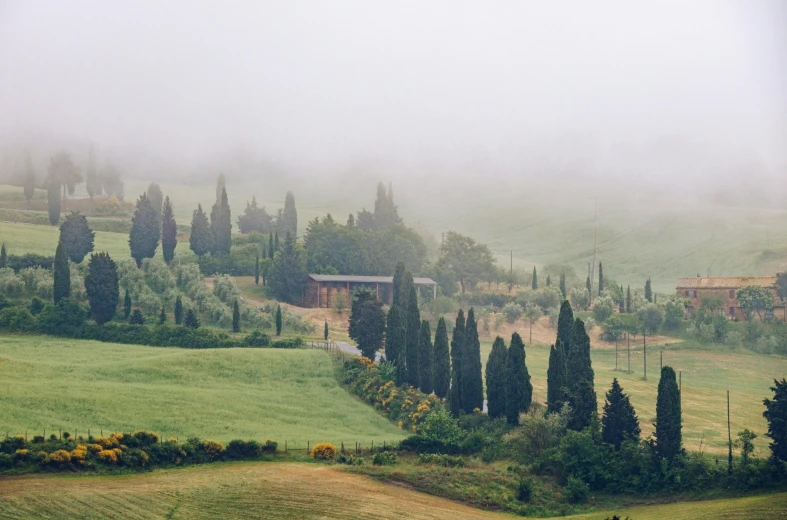 a view over a hilly area, with fog in the background