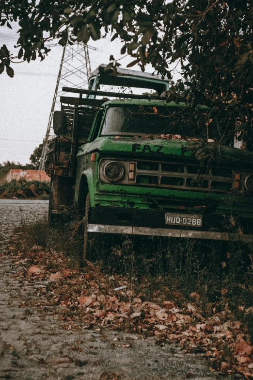 an old pick up truck sitting in the leaves