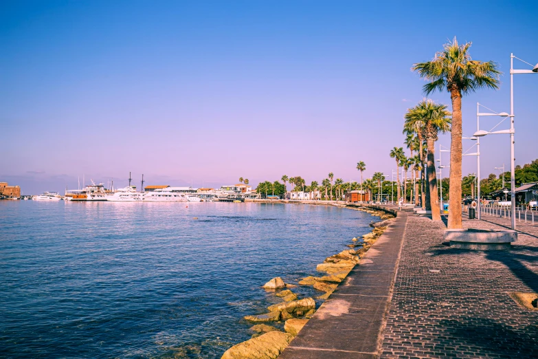 several palm trees next to the water and a dock