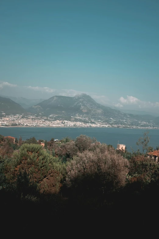 a view of a large body of water surrounded by trees