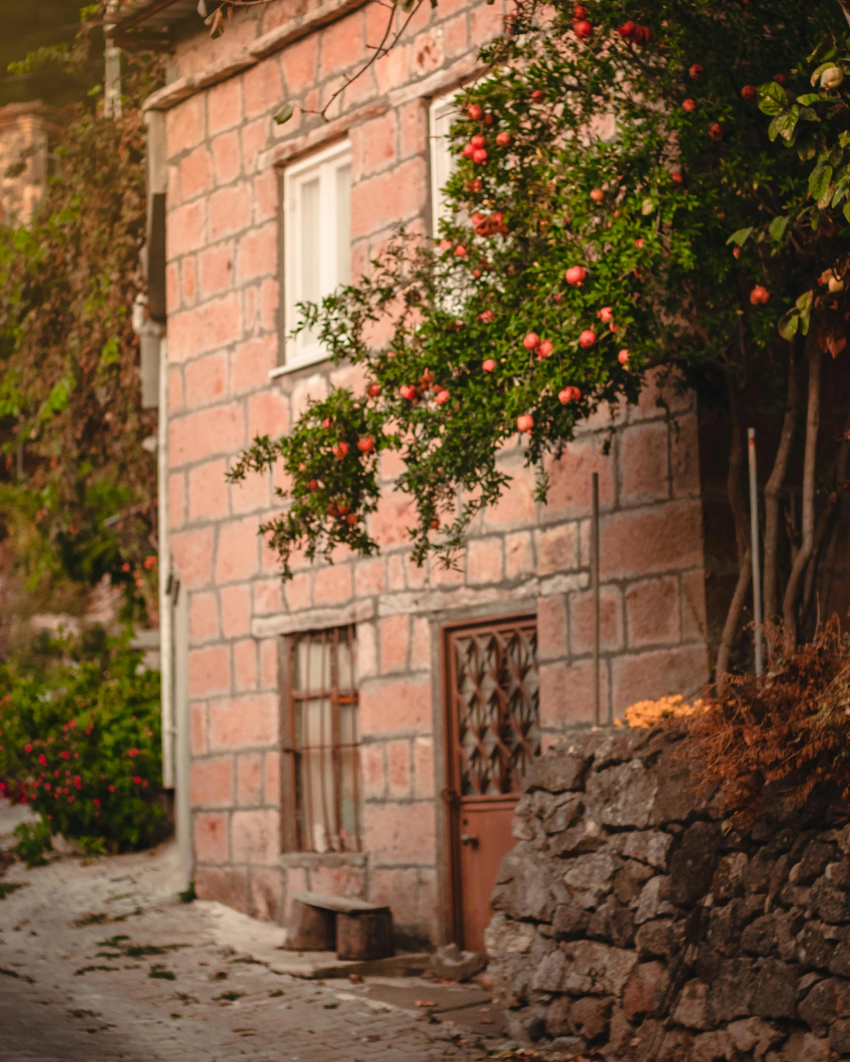 a small house with a red tree over the entrance