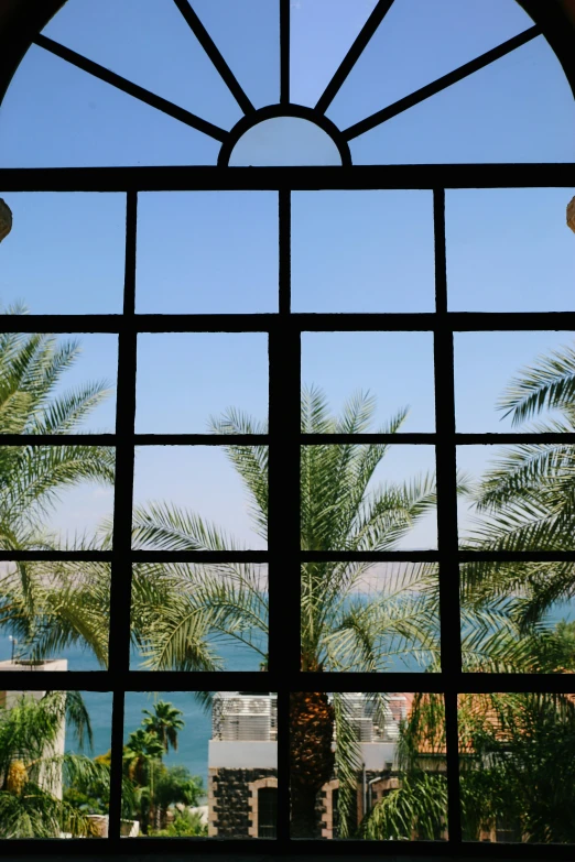 a view through the window of the tropical city