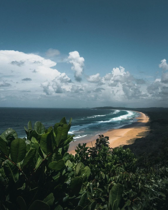 an ocean view from a high point of view, showing a sandy beach and a forested shoreline