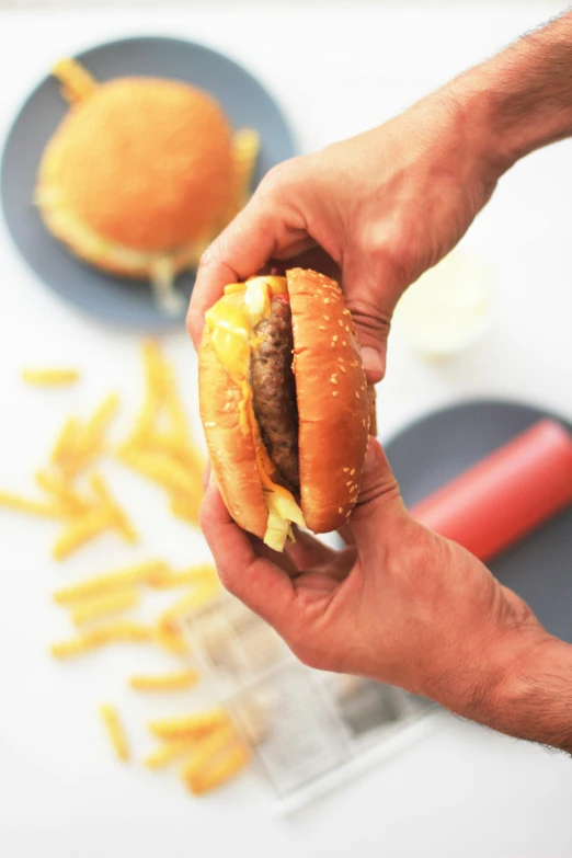 a close up of a person holding a sandwich near some fries