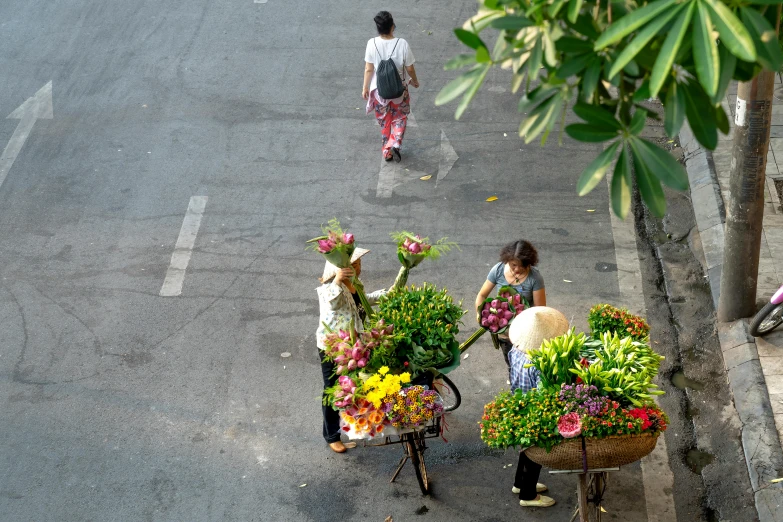 two women carrying large potted plants down the street
