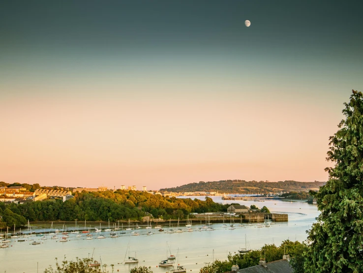 a view of water and trees at dusk