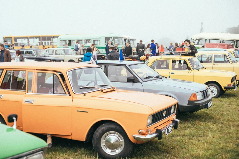 various cars are lined up in rows on the grass