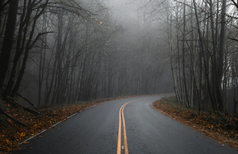 a long road in the middle of a forest with fog