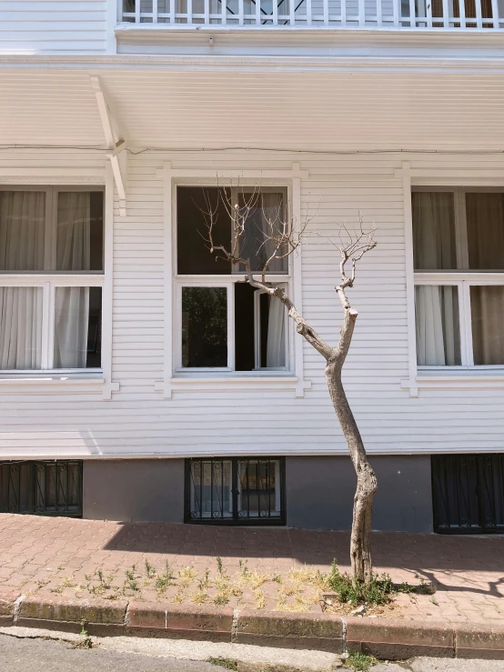 a tall white building with a single tree on the front yard