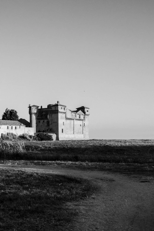 a castle in an open field with a tree in the background