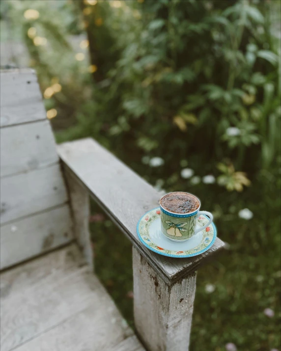 a cup and saucer on a bench with bushes in the background