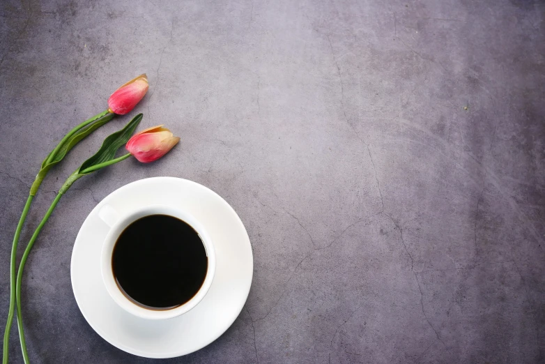 two flowers, coffee and saucer on the ground