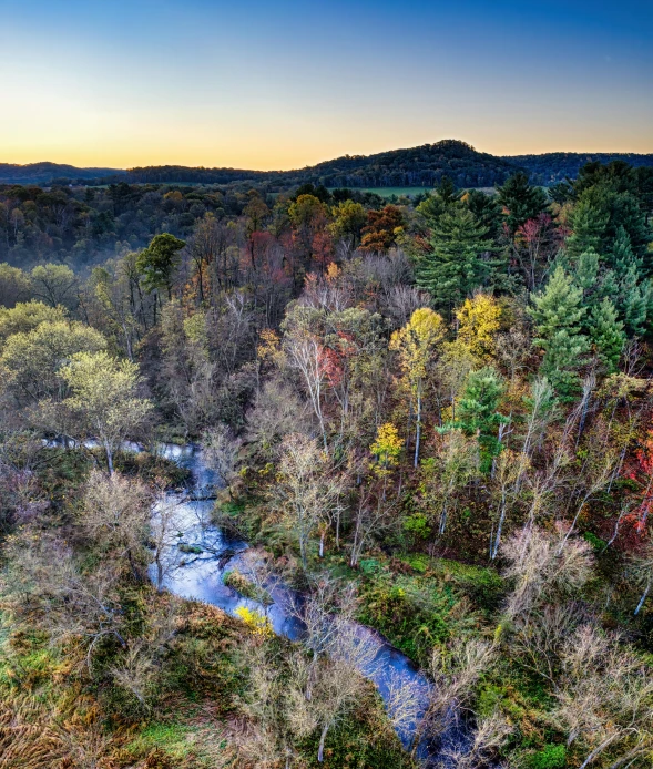 aerial view of a river in the middle of a forest