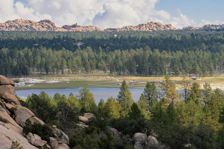 a lake surrounded by trees and rocky mountains