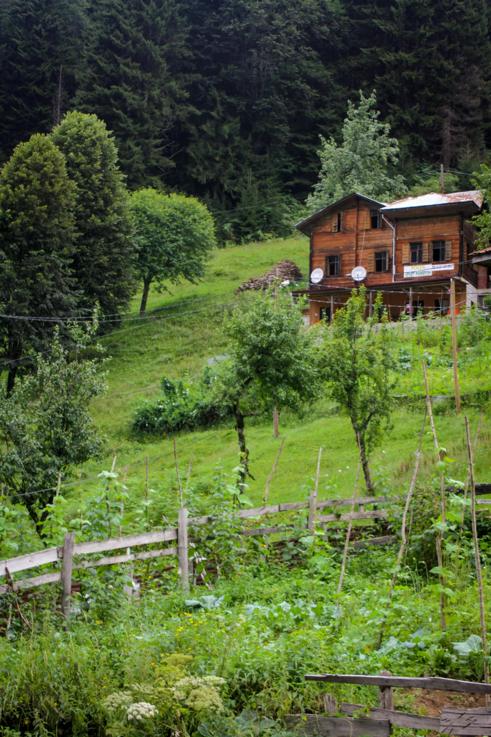 small wooden house sitting on a hill in a forest