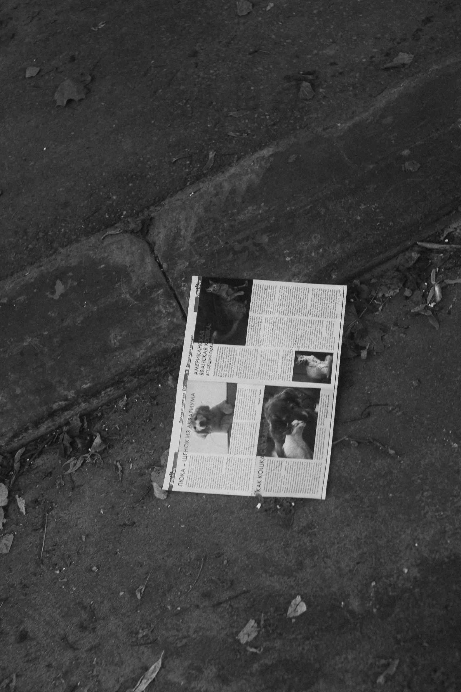 an open po album on the pavement with four pictures