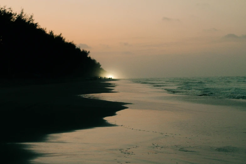 a foggy beach is next to trees at sunset