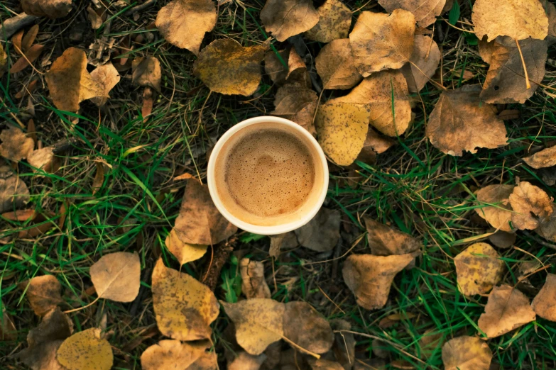 a white cup of coffee is shown on the ground among some yellow and brown leaves