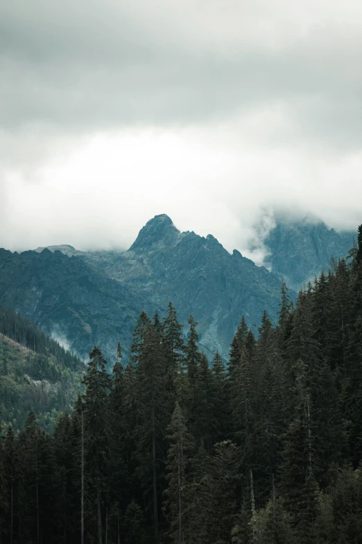 a mountain is surrounded by some dark trees