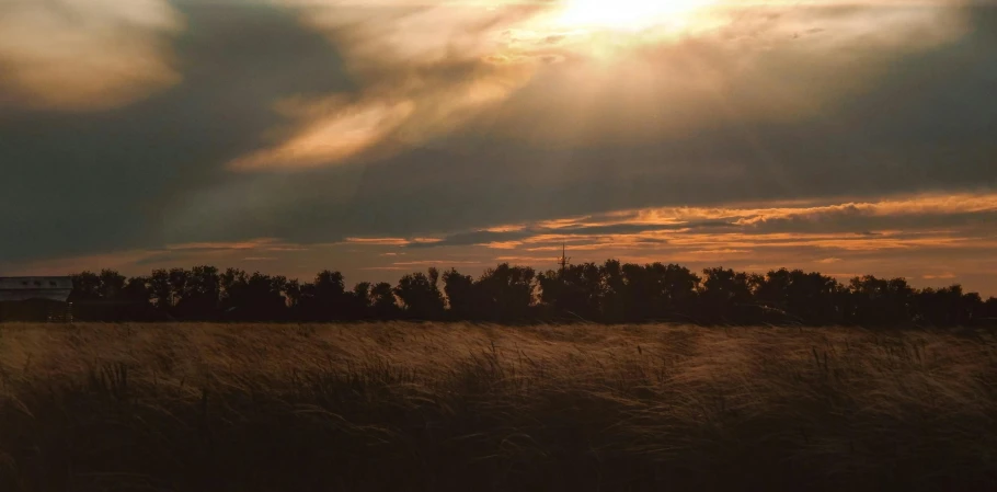 a plane flying into the air above a grassy field